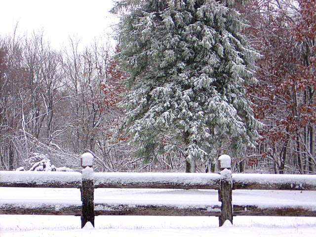 小雪+寒潮，禽畜水產(chǎn)如何應(yīng)對(duì)？